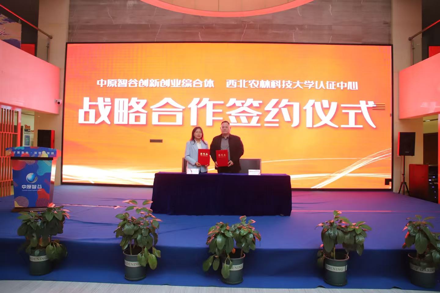 网站图片1.jpg